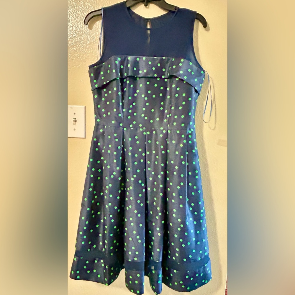 Charming Polka Dot Woman’s Dress